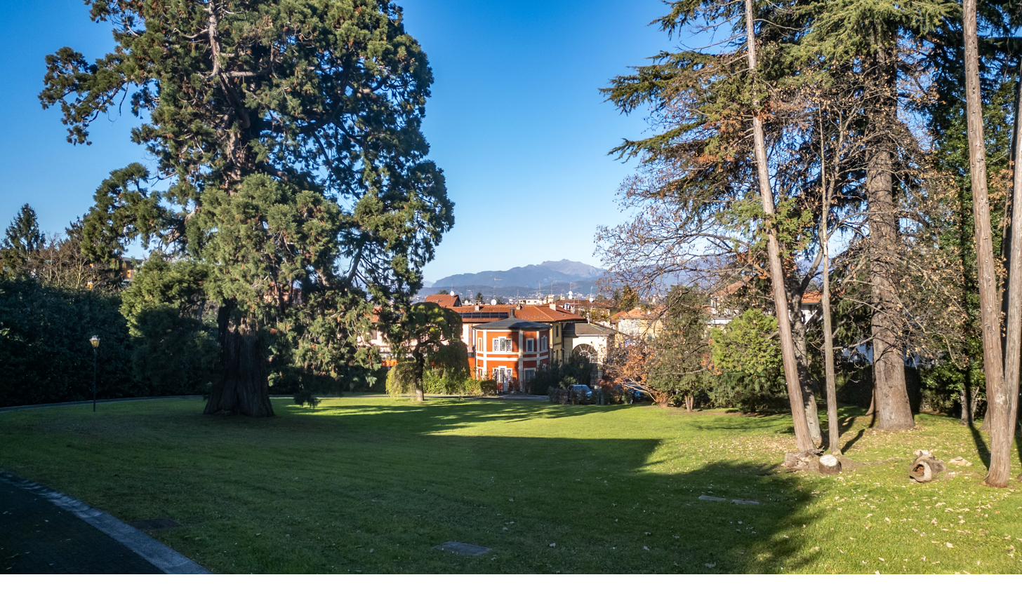 Parco condominiale con cedri secolari